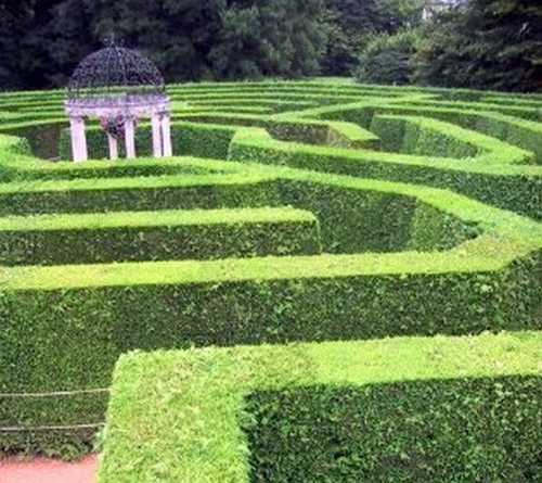 The Maze Lives In The Mind Of Those Who Have Belief, Opinion Or Faith In Fantasies